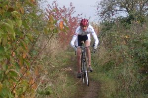Dassow Cross-Cup 33